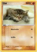 Chat