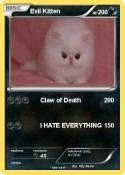 Evil Kitten