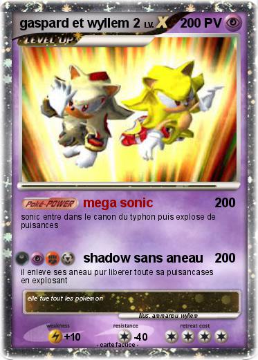 Pokemon gaspard et wyllem 2