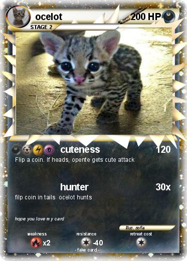 Pokemon ocelot