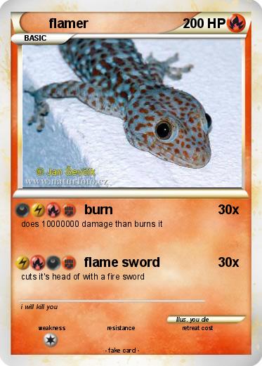 Pokemon flamer