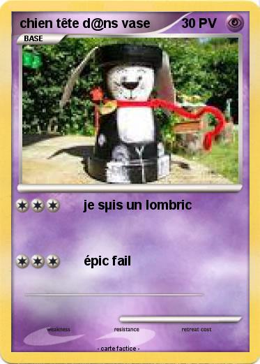 Pokemon chien tête d@ns vase