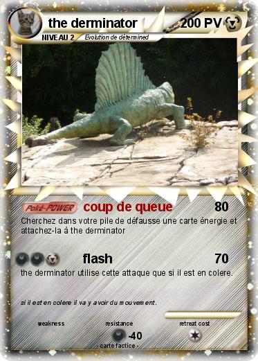 Pokemon the derminator