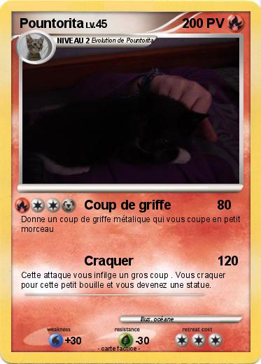 Pokemon Pountorita