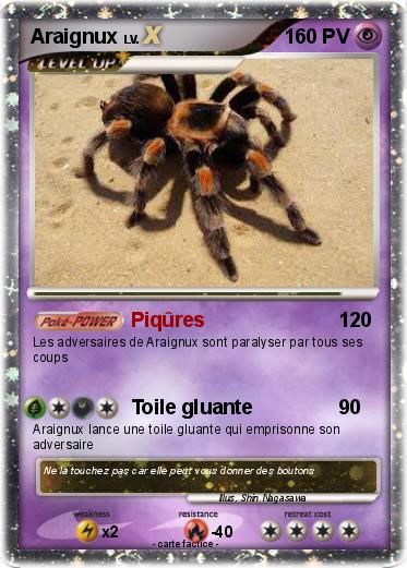 Pokemon Araignux