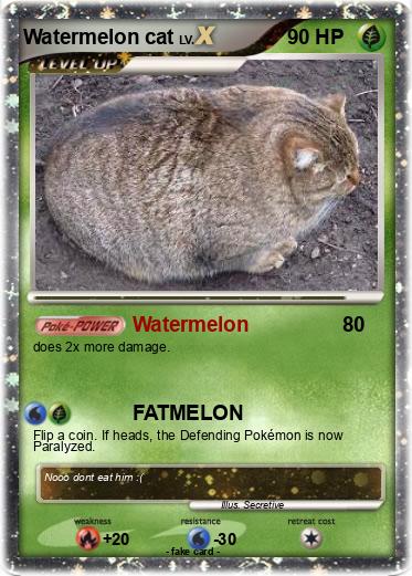 Pokemon Watermelon cat
