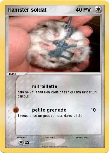 Pokemon hamster soldat