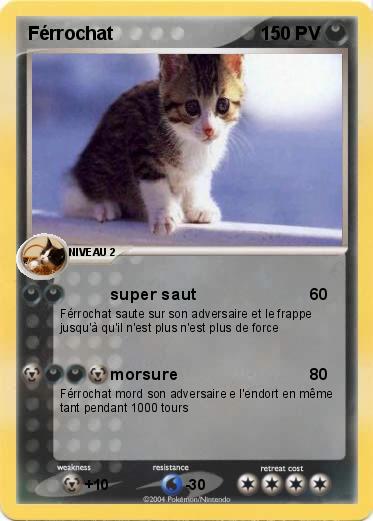 Pokemon Férrochat