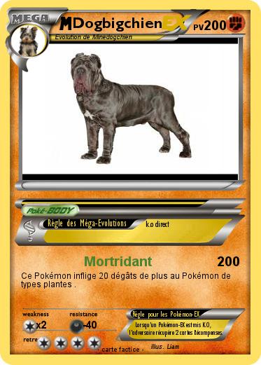 Pokemon Dogbigchien
