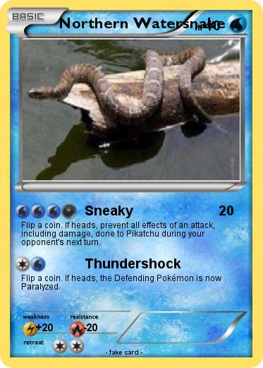 Pokemon Northern Watersnake
