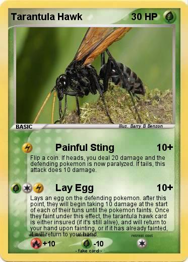 Pokemon Tarantula Hawk