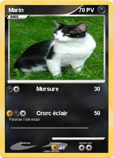 Pokemon Marin