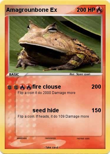 Pokemon Amagrounbone Ex