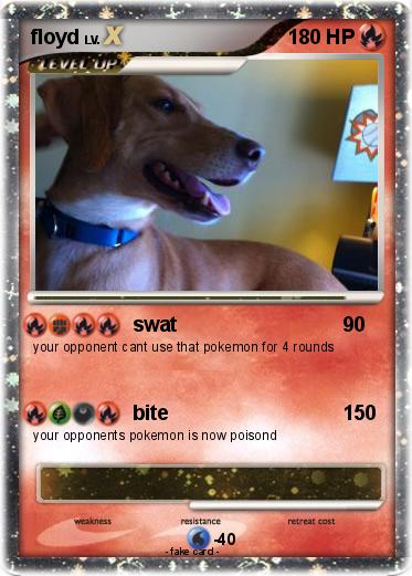 Pokemon floyd