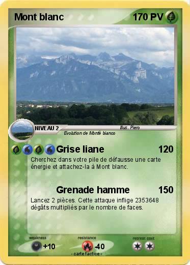 Pokemon Mont blanc