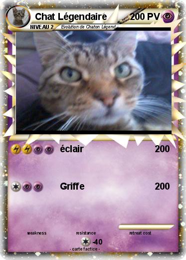 Pokemon Chat Légendaire