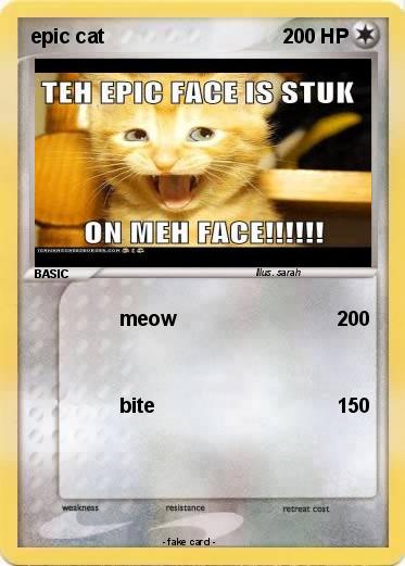 Pokemon epic cat