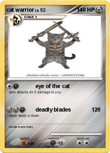 Pokemon cat warrior