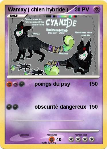Pokemon Wamay ( chien hybride )