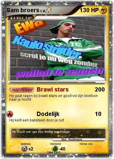 Pokemon Sam broers