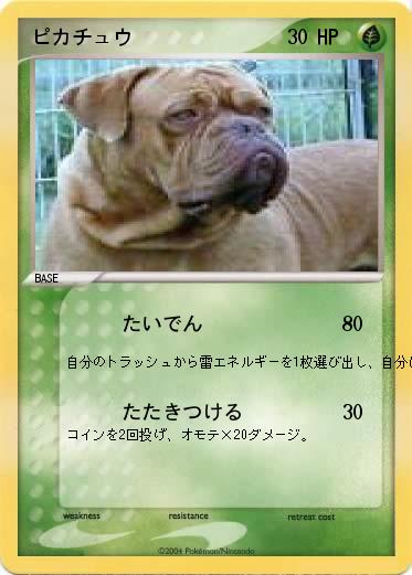 Pokemon ピカチュウ