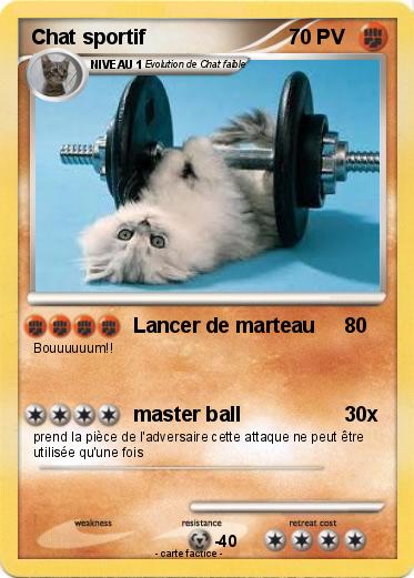 Pokemon Chat sportif