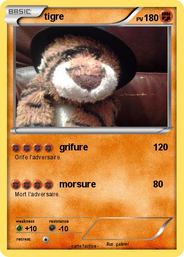Pokemon tigre