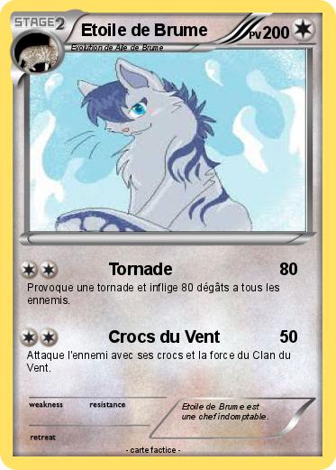 Pokemon Etoile de Brume
