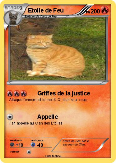 Pokemon Etoile de Feu