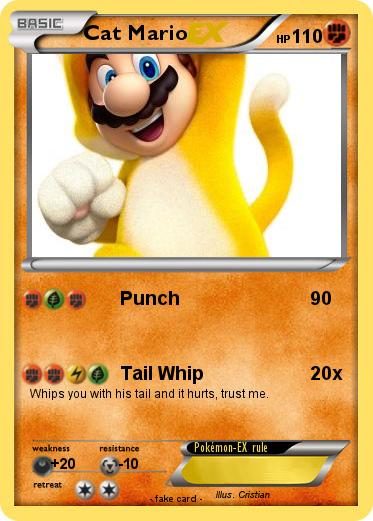 Pokemon Cat Mario