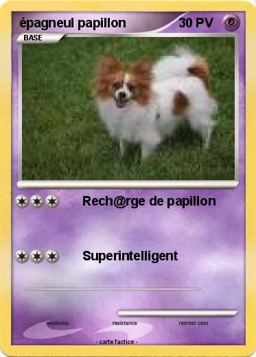 Pokemon épagneul papillon