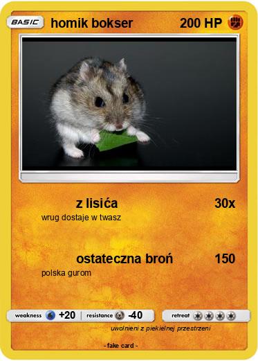 Pokemon homik bokser