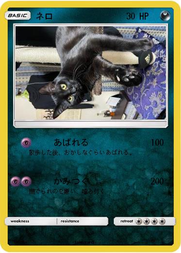 Pokemon ネロ