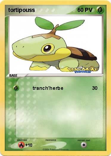 Pokemon tortipouss