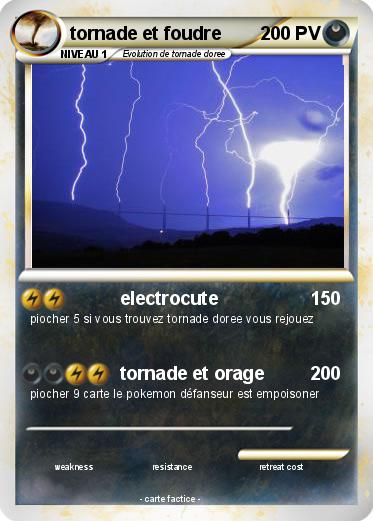 Pokemon tornade et foudre
