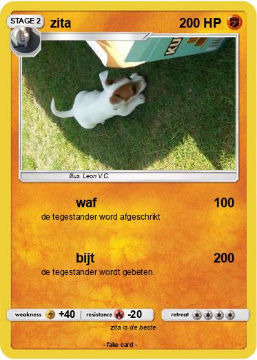 Pokemon zita
