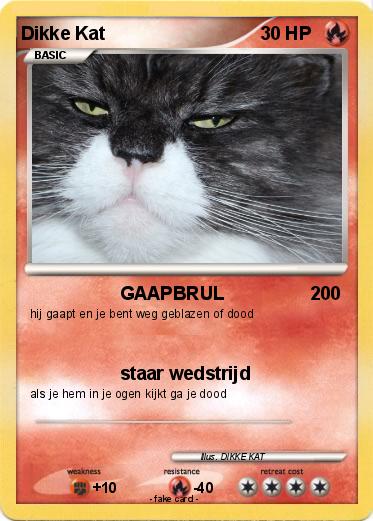 Pokemon Dikke Kat