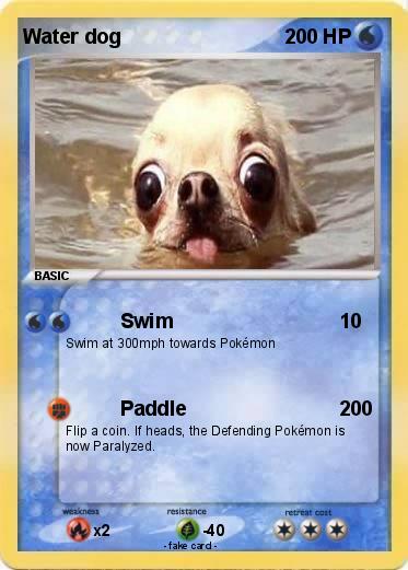 Pokemon Water dog