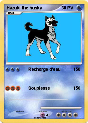Pokemon Hazuki the husky
