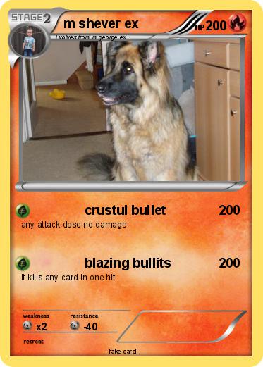 Pokemon m shever ex