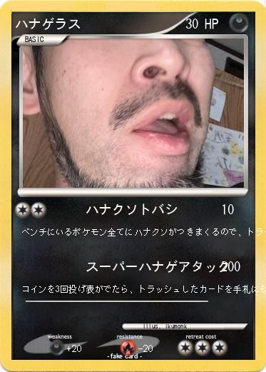 Pokemon ハナゲラス