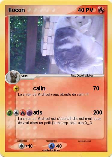 Pokemon flocon