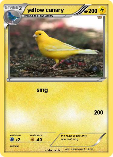 Pokemon yellow canary