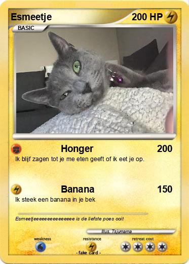 Pokemon Esmeetje
