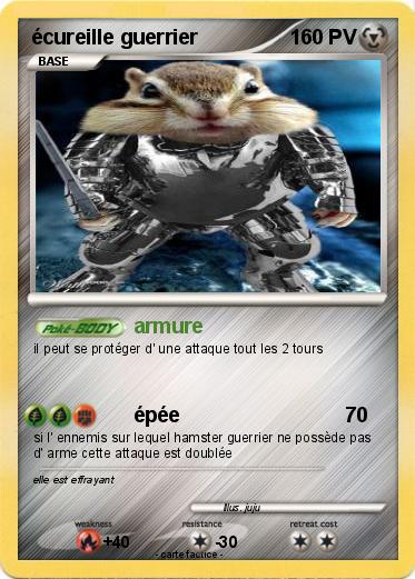 Pokemon écureille guerrier