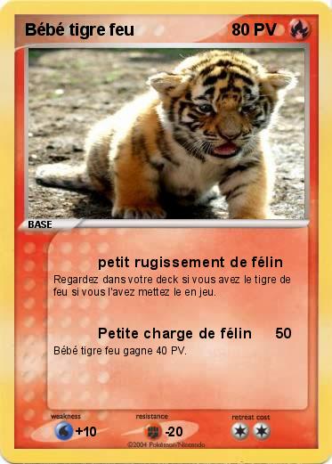 Pokemon Bébé tigre feu