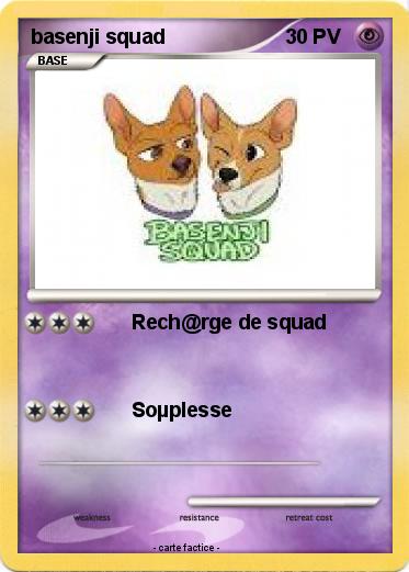Pokemon basenji squad