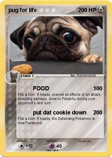 Pokemon pug for life