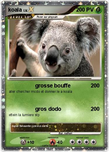 Pokemon koala