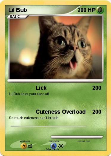 Pokemon Lil Bub